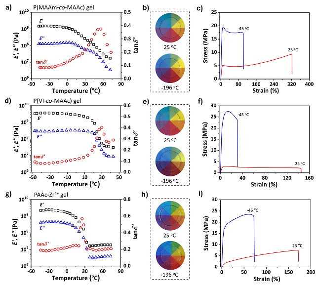 Figure 4.jpg